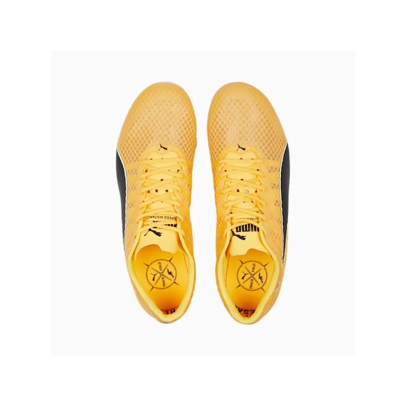 Puma evoSPEED Distance 11 / 377961-01