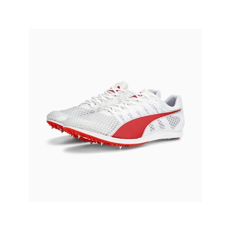 Puma evoSPEED Distance 11 / 377961-03